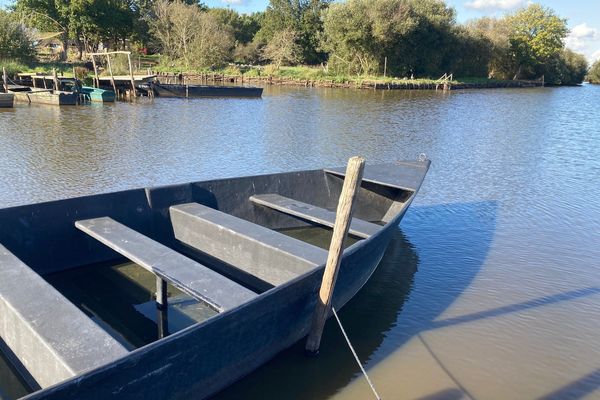 Malgré l'automne, les niveaux d'eau des marais de Brière sont bas.