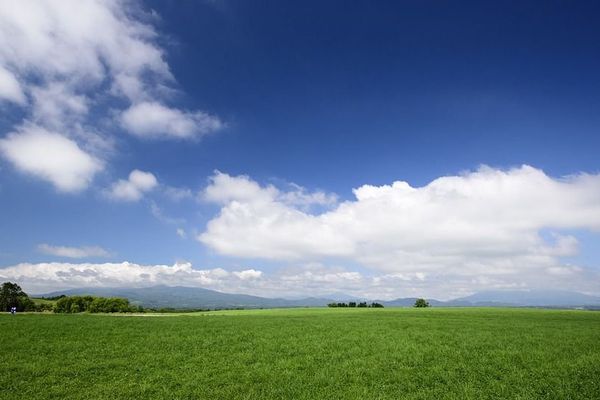 Météo France prévoit un ciel de traîne 