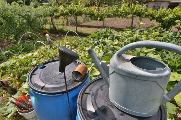 L'arrosage des potagers est interdit sauf à l'arrosoir