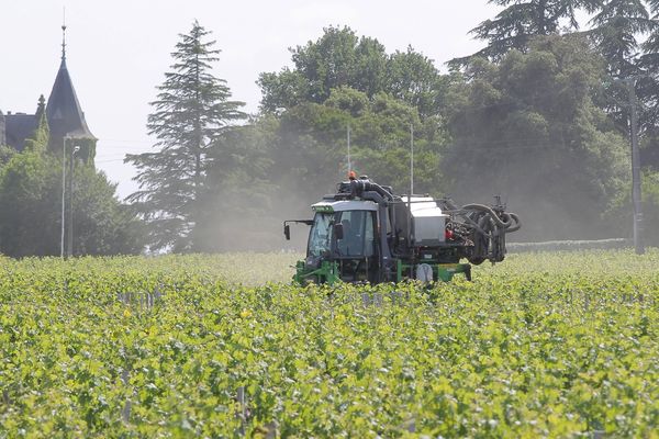 Traitement des vignes par épandage dans le Médoc (image d'illustration)