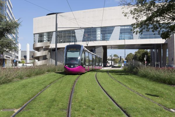 Les transports en commun gratuits à Dijon pourront peut-être avoir lieu, mais avant ça, il faudra surmonter une montagne de conditions.