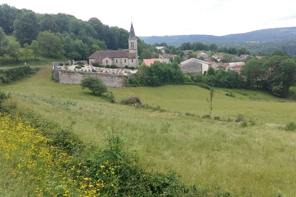 A Hostiaz (Ain), le tout premier tir de prélèvement d'un loup a été autorisé par les autorités pour protéger un éleveur de plusieurs attaques de loups.