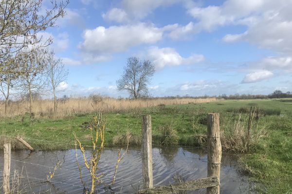 Après la pluie, le ciel devrait retrouver un peu de couleurs, comme ici dans le marais poitevin, aux Magnils Reigners (Vendée)