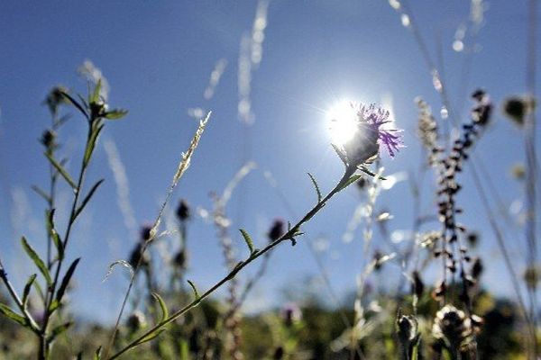 Le soleil brille aujourd'hui en Limousin