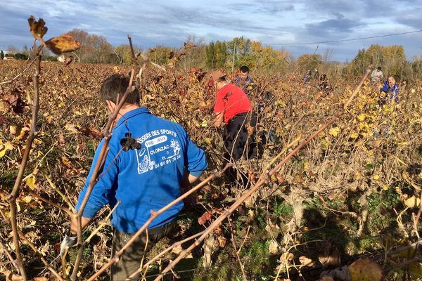 Trèbes (Aude) - la solidarité des vignerons du Languedoc avec les viticulteurs audois sinistrés - 3 décembre 2018.