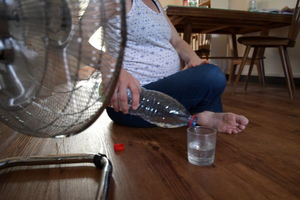 Canicule de 2018 à Reims.