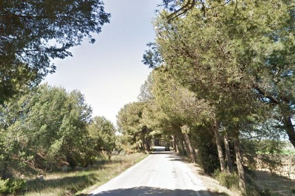 L'accident s'est produit sur la D 19 bordée d'arbres à Lançon-de-Provence.