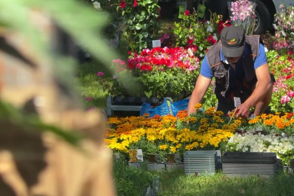 Fleurs, légumes, fruits...les jardiniers amateurs se ruent vers les plantations.