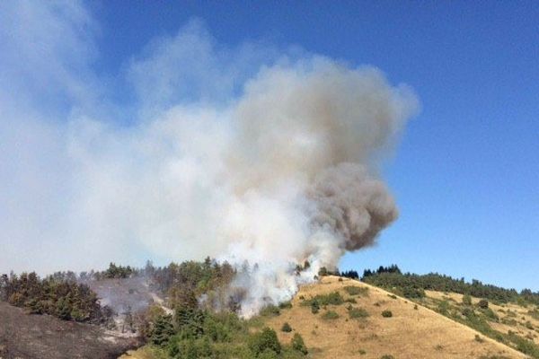 Vers 15h30, l'incendie avait déjà détruit trois hectares de végétation.