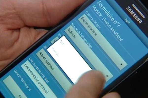 L'INRA vient de présenter une application téléphonique qu'elle a créé pour collecter de l'information sur les frelons asiatiques. Le frelon asiatique est au centre de l'intérêt des chercheurs en agronomie.