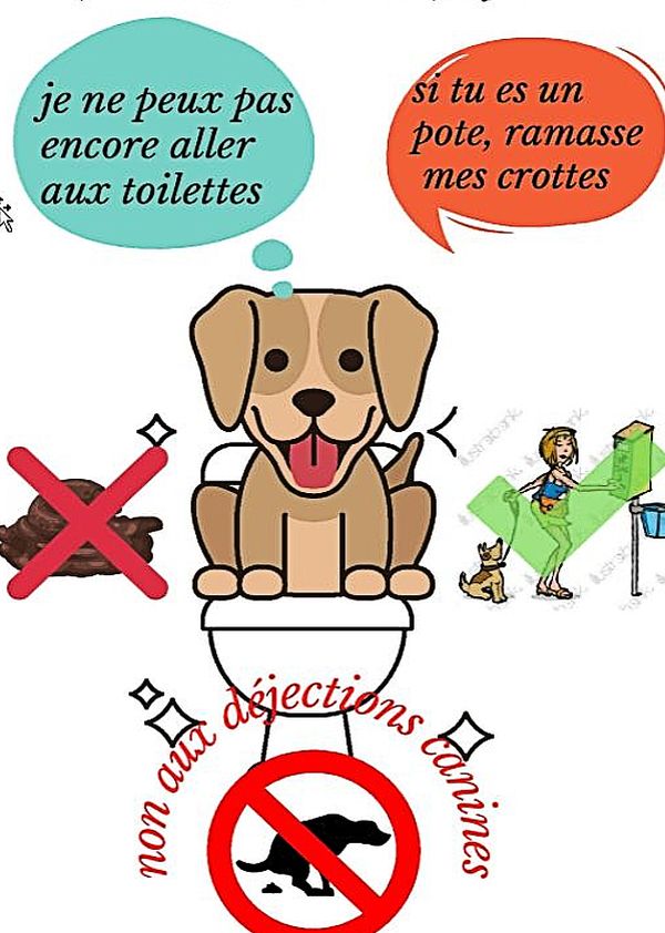 Haut Rhin A Buhl Les Jeunes Lancent Une Operation Coup De Poing Contre Les Crottes De Chien