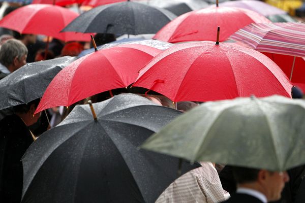 Une météo sous le signe du parapluie