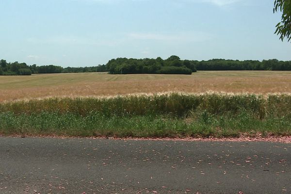 C'est sur ce site agricole et boisé que la carrière va s'étendre