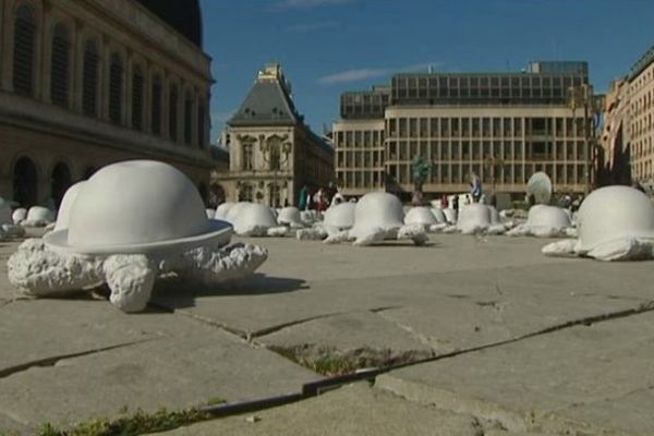 L'Armée des Tortues de la Paix a débarqué place Pradel, à Lyon