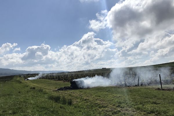 La fumée dégagée par le brûlage de paille dans les vignes serait à l'origine du carambolage survenu ce 6 mai à Vadans (Jura).