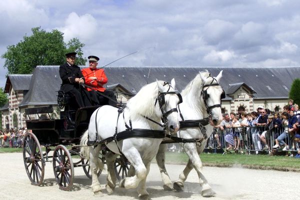 La fête du cheval et des attelages (8/8/02)