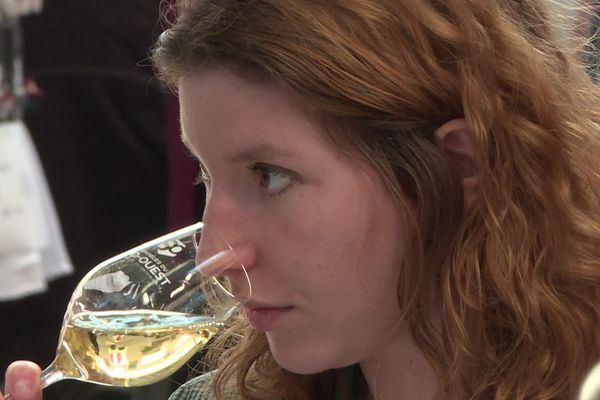 Le seul concours international des vins en boite se déroule en Occitanie depuis 10 ans.