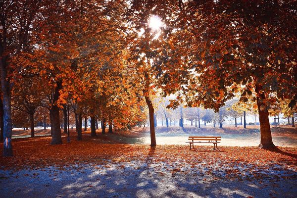 Les douces couleurs de l'automne 