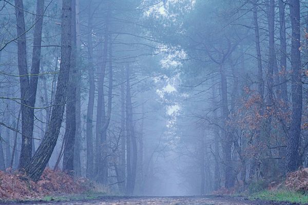 Le brouillard n'est responsable que de 2 % des accidents mortels chaque année, mais les accidents par ce temps sont en général deux fois plus graves que par météo normale.