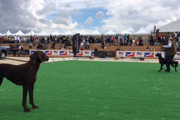 Le Game Fair, samedi 18 juin 2016.