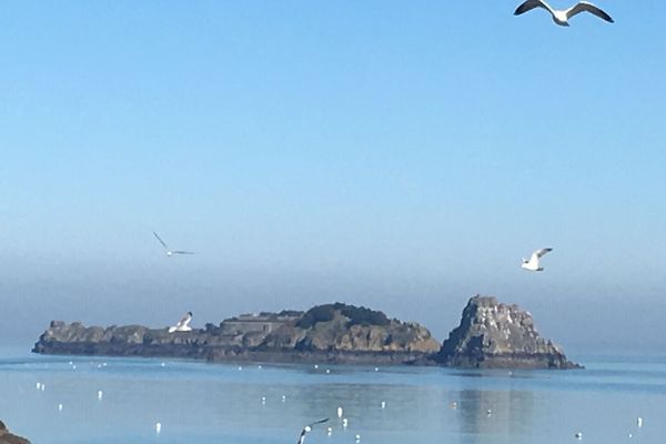 Une douceur exceptionnelle à Cancale ce dimanche 24 février 2019