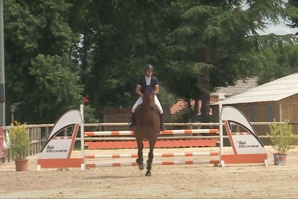 Les concours hippiques ont repris au pôle équestre de Cluny