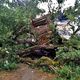 Un arbre, occupé par des opposants à l'autoroute A69 sur la zad installée dans le Tarn, est tombé tôt ce dimanche 23 juin 2024. Deux personnes ont été blessées.