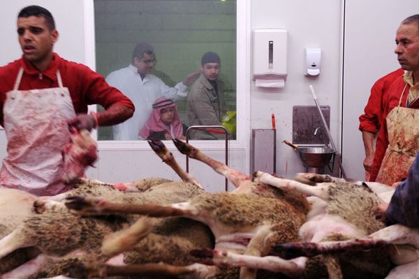 Photo d'illustration d'un abattoir durant la fête de l'Aïd 2016