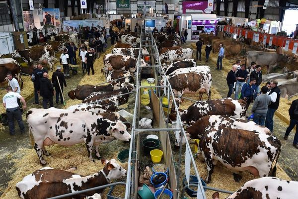 Le SPACE, salon international des productions animales se tient chaque année en septembre à Rennes