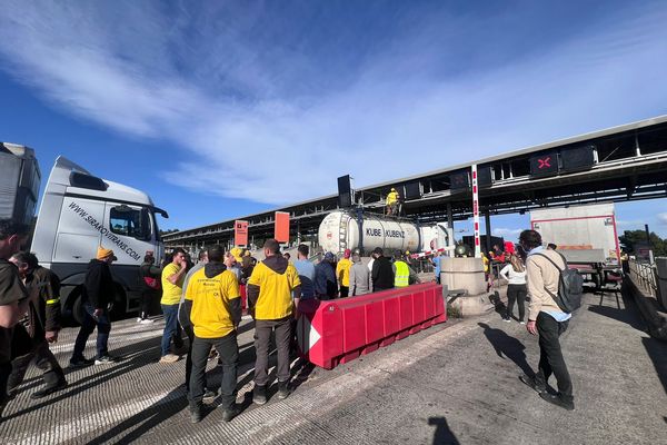 Le Boulou (Pyrénées-Orientales) - les agriculteurs en colère bloquent les camions en provenance d'Espagne au péage de l'A9 - 19 novembre 2024.