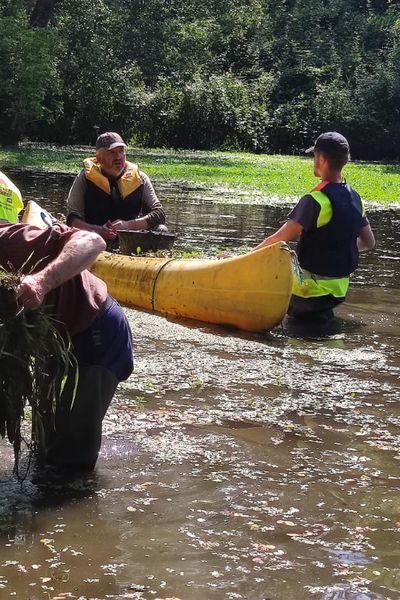 Des bénévoles participent à une campagne d’arrachage de la Jussie à l’écopole du Forez, dans la Loire.