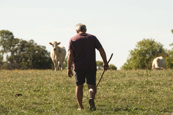 Le suicide, 3e cause de mortalité des agriculteurs.