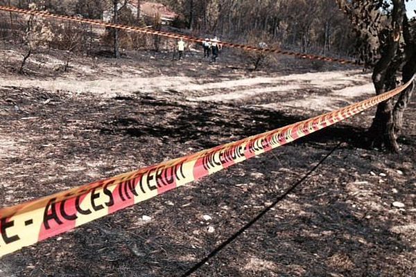 Saint-Bauzille-de-Montmel (Hérault) - les pompiers constatent et mesurent les dégâts après l'incendie - 9 août 2015.