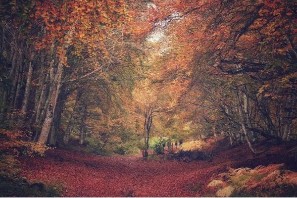 En automne, la nature revêt des couleurs flmaboyantes en Auvergne.