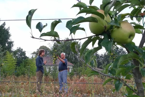 Une parcelle de pommeraie, traitée aux pesticides et aux engrais, est accolée à la maison d'une famille. 