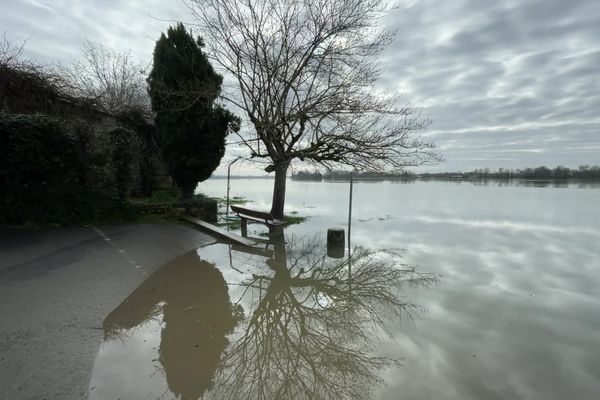 La Dordogne en crue