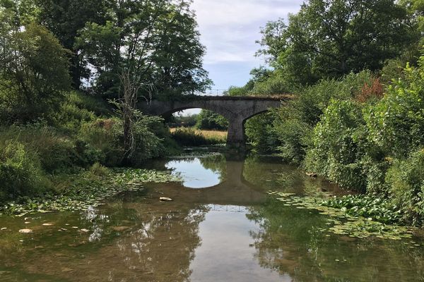 Le débit de l'Armançon est très bas.