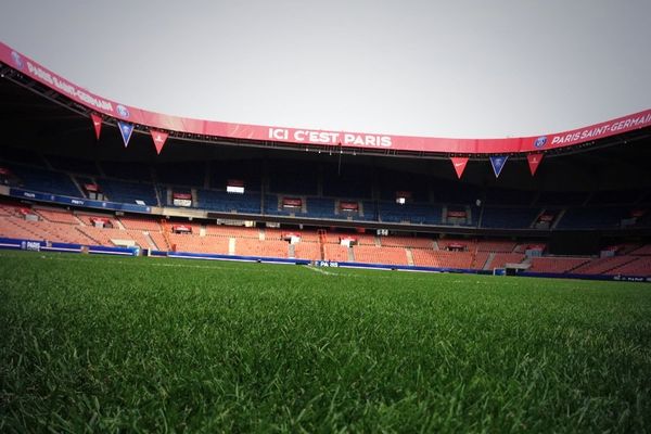 La pelouse du Parc des Princes.