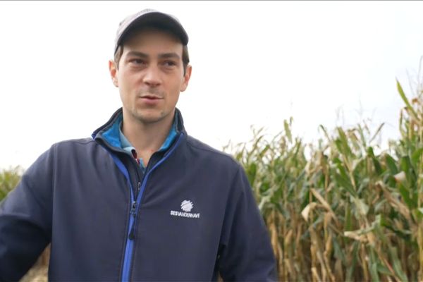 Charles Pigot, agriculteur en Seine-et-Marne, est inquiet pour ses épis de maïs. Son champ a été inondé par la rivière Grand Morin.