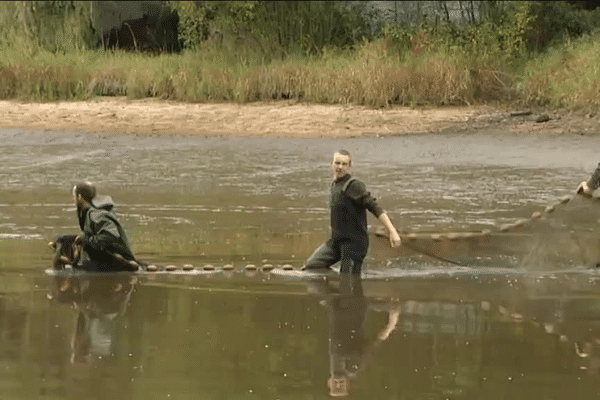 La dernière pêche à l'étang de Crocq, pour sauver les poissons avant sa disparition.