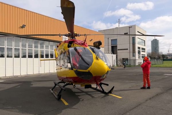 Un dragon dans le ciel francilien