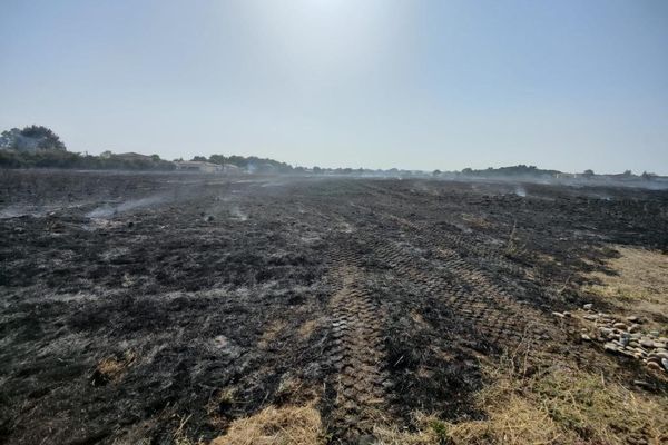 Un incendie dans un champ a menacé des habitations sur la commune de Saint-Lys, près de Toulouse. Une cinquantaine de pompiers ont été mobilisés.