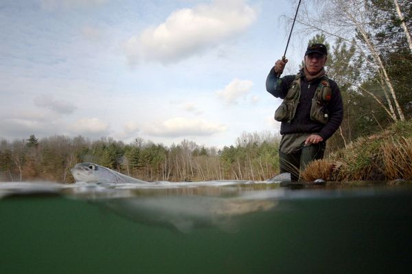 La pêche de loisir est à nouveau autorisée sur les lacs et plans d'eau du Puy-de-Dôme.