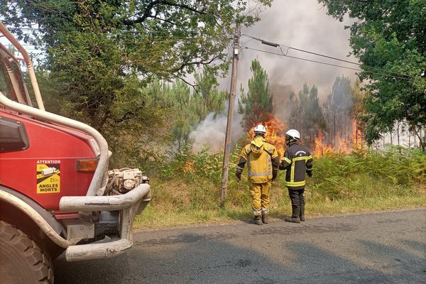 A ce stade, 20 600 hectares sont partis en fumée dans le département.