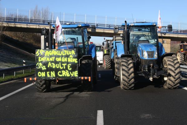 Comme en janvier 2024, les agriculteurs prévoient à nouveau de "sortir les tracteurs". L'opposition au traité de libre-échange du Mercosur fédère la colère. Différentes actions sont prévues à partir du 18 novembre.