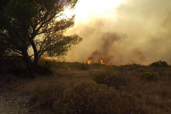 Incendie à Collias dans le Gard - 27 août 2017 / illustration