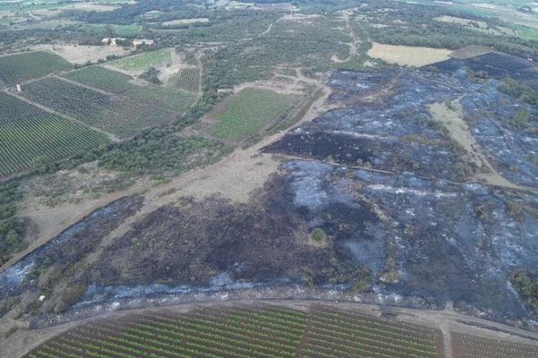 Les dégâts de l'incendie de Nizas (Hérault) vus du ciel. Entre 20 et 25 hectares de végétation ont été parcourus par les flammes.