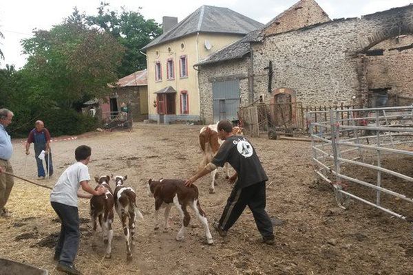 Les murs de la maison adjacente de l'exploitation de lait portent les stigmates de la violence de l'incendie