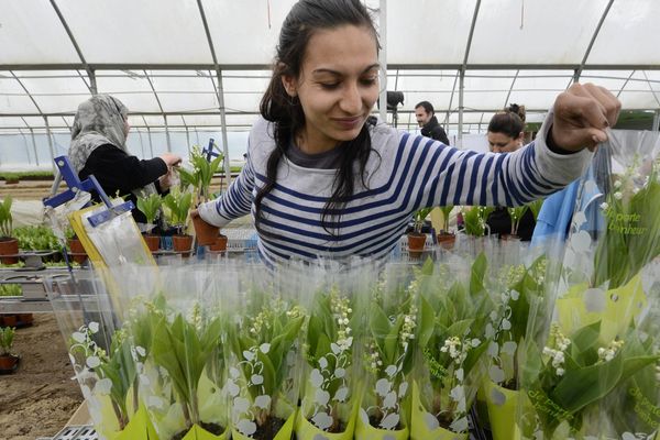 800 saisonniers seront embauchés dans la 2e quinzaine d'avril.