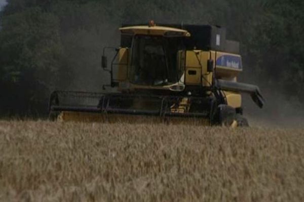 Les moissons ont débuté dans l'Aisne, ambiance à Champs (02)